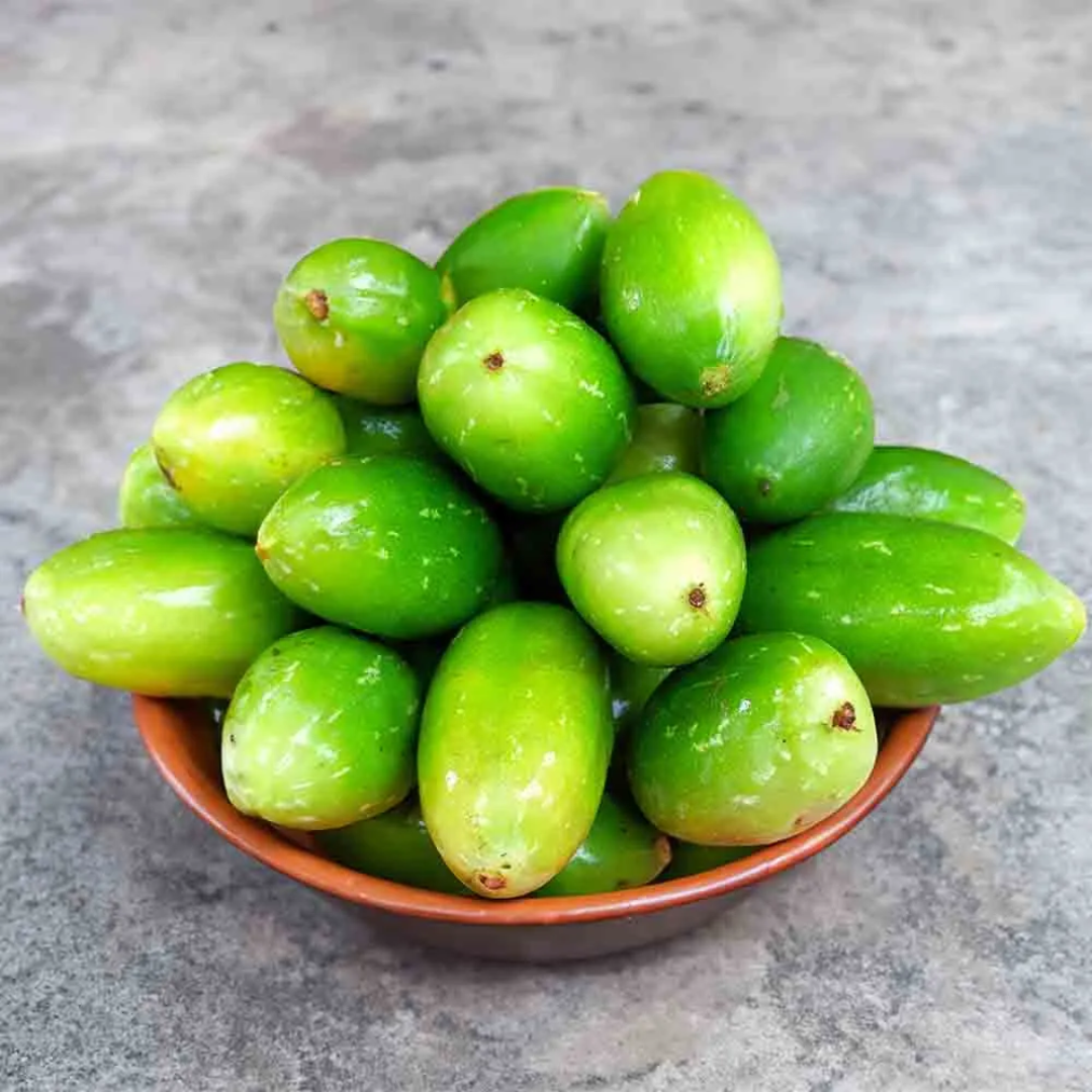 Wholesale Tendli – Fresh and Organic from Farm Supplier – Dubai